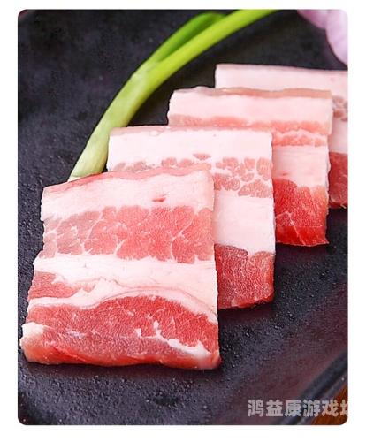 国产一级肉片免费无码软件国产一级肉片免费无码软件推广，安全、便捷的肉片制作新选择