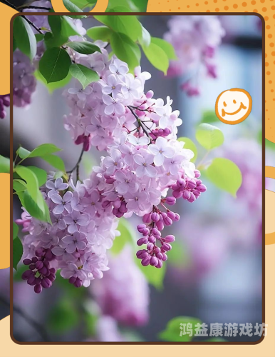 人妻夜夜爽天天爽三区丁香花人妻夜夜爽天天爽，三区丁香花背后的故事与新闻