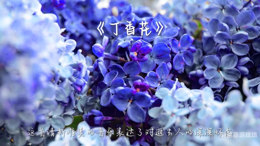 人妻夜夜爽天天爽三区丁香花人妻夜夜爽天天爽，三区丁香花背后的故事与新闻