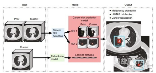 日本尿口汇编，揭秘日本性水蜜桃在线播放领域的新趋势日本人尿疗法