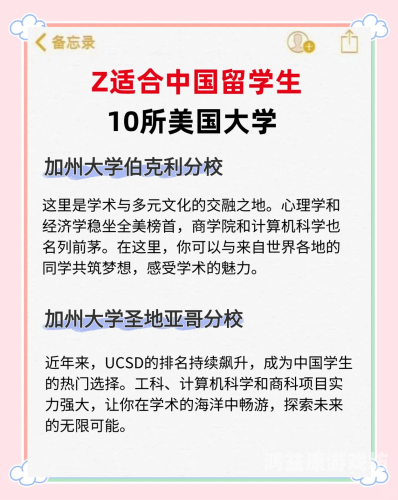 美国异族成人网，探索多元文化的交汇点美国异族成人网站大全