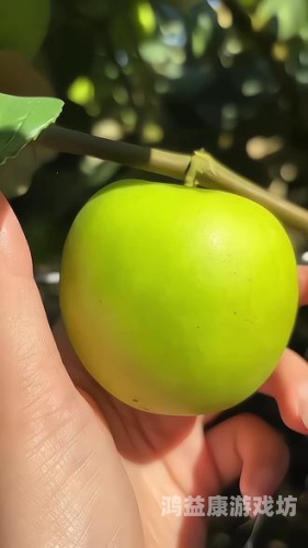 国产成人精品，亚洲精品青苹果的独特魅力