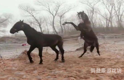 强壮公弄得我次次高潮hd强壮公弄得我次次高潮，探索网络热门新闻