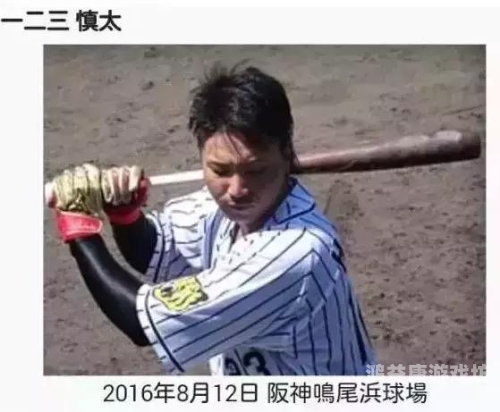 日本妻少妇中文字幕乱码，揭秘背后的文化现象