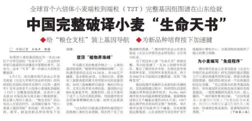 haodiaoyin，新闻资讯网站资深编辑的角色设定
