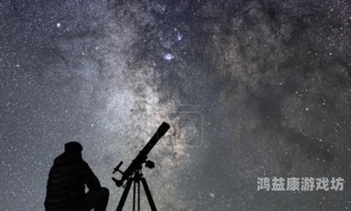 成人理论免费手机看片，探索网络世界的隐秘角落